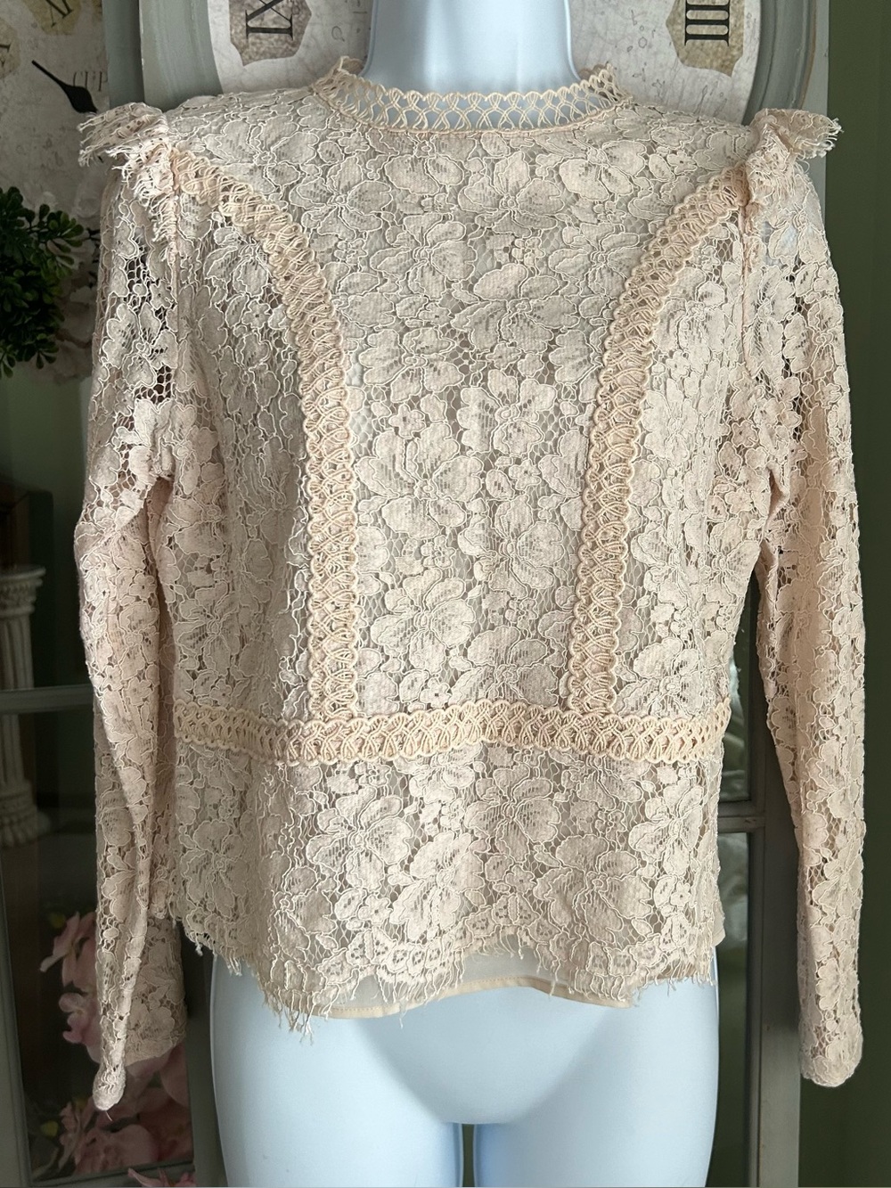 EXPRESS Floral Lace Peplum Blouse Shirt Top Long Sleeve Blush Pink Size Small